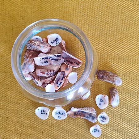 Casa Chloé - Vicino Al Porto E Basilica San Nicola Appartement